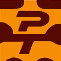Pakistan Tannery Logo